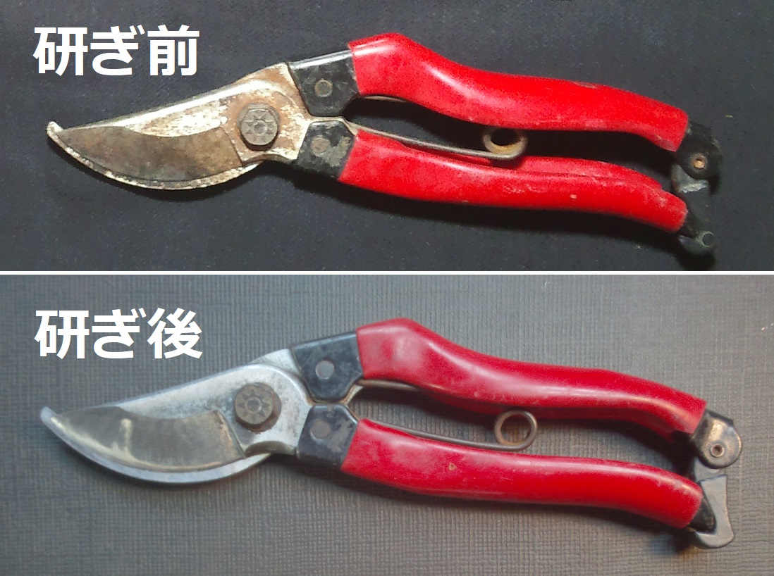 剪定鋏を名古屋「研ぎや大須」にて研ぎ直し。
